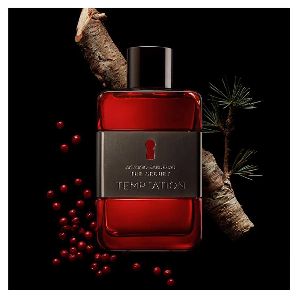 The Secret Temptation Banderas Perfume Masculino - Eau de Toilette - 2