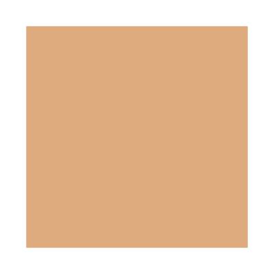 Protetor Solar Stick Adcos FPS 55