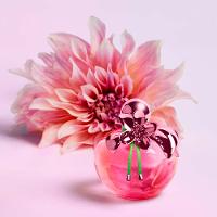 Nina Ricci Nina Illusion Perfume Feminino Eau de Parfum - 8