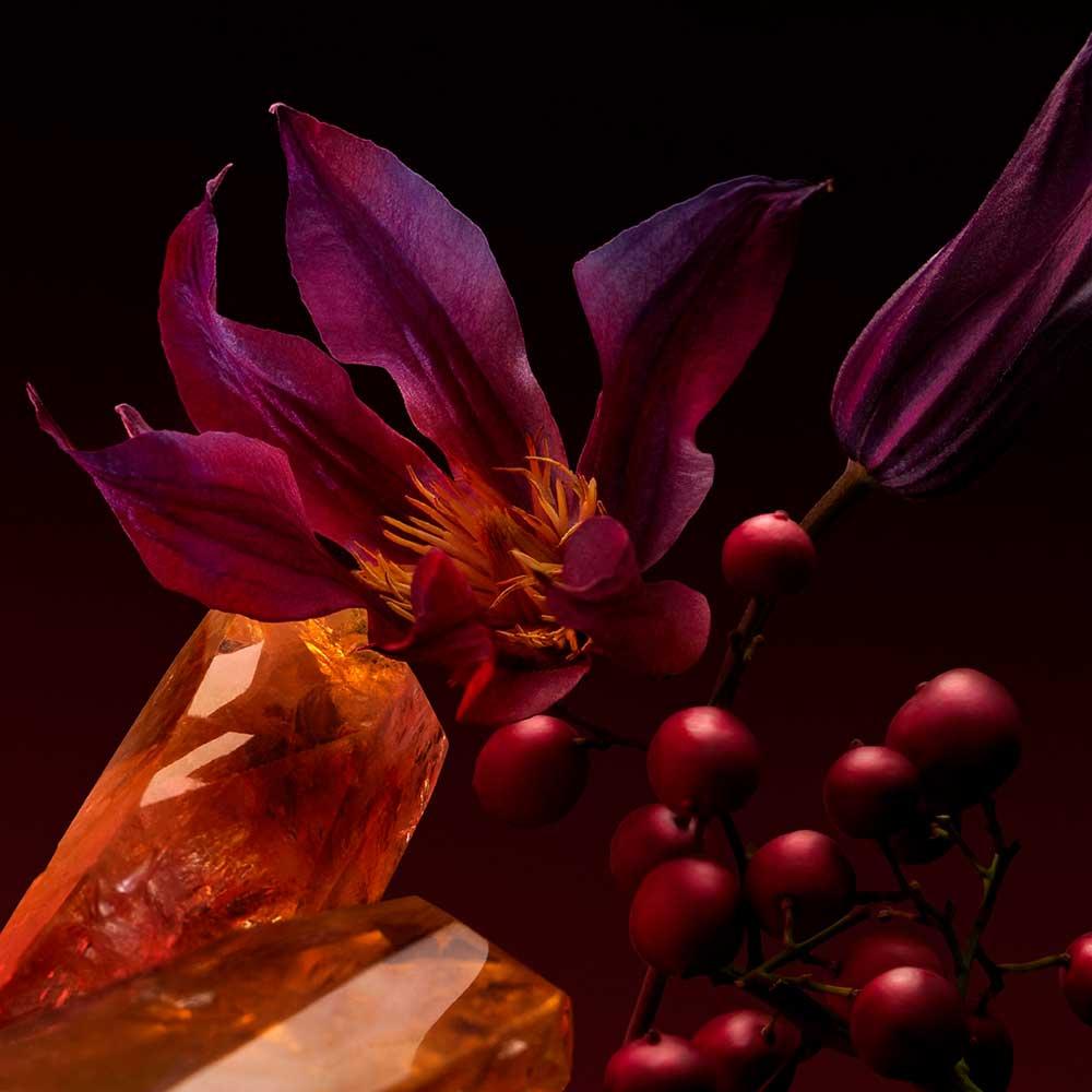 Perfume Hugo Boss The Scent Elixir For Her Feminino - 6