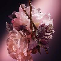 Good Girl Blush Elixir Carolina Herrera Perfume Feminino EDP - 8