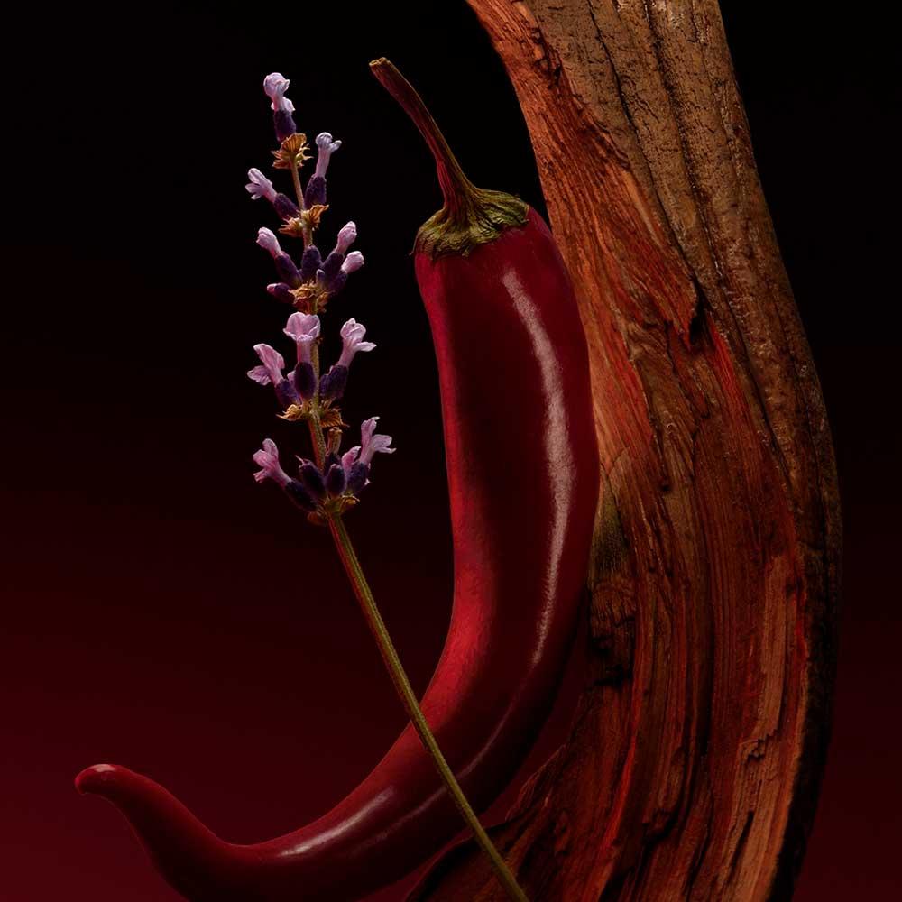 Perfume Hugo Boss The Scent Elixir For Him Masculino - 5