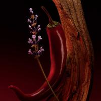 Perfume Hugo Boss The Scent Elixir For Him Masculino - 5