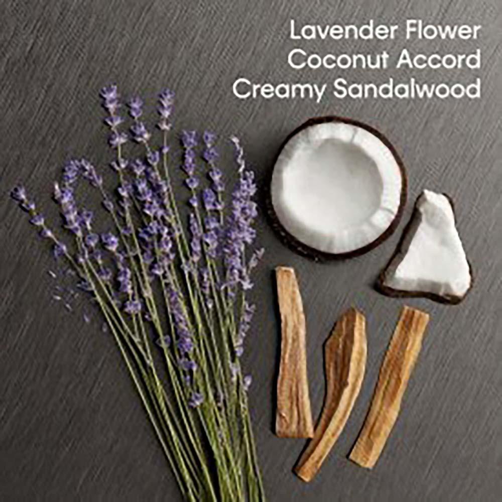 Eternity Aromatic Essence Calvin Klein - Perfume Feminino Parfum Intense - 3