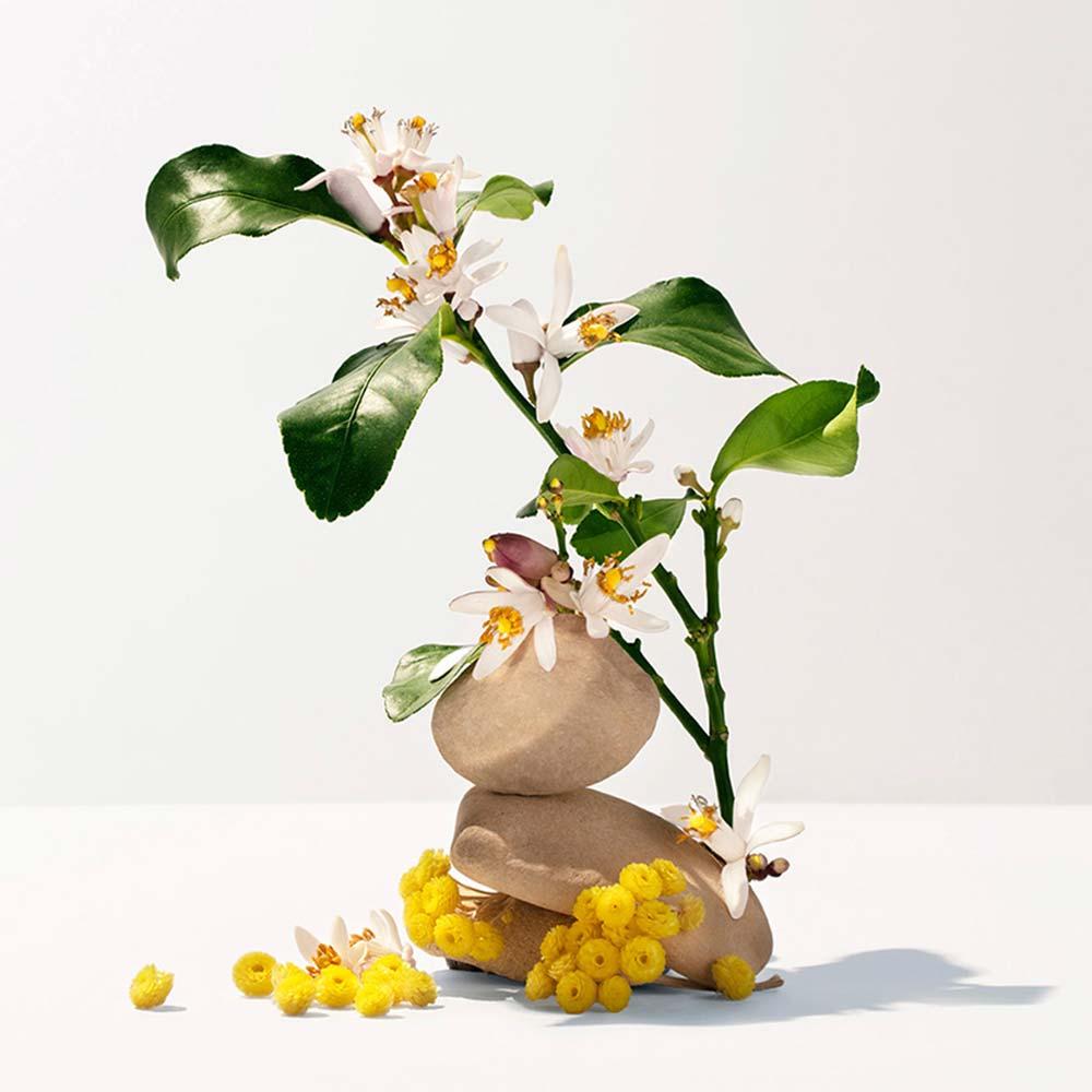 Neroli Roger & Gallet - Perfume Unissex - Colônia Eau de Toilette - 3