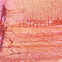 Blush em Bastão Océane - 2