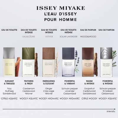 L'eau D'issey Pour Homme Issey Miyake - Perfume Masculino - Eau de Toilette