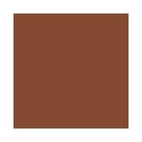 Protetor Solar Facial com Cor Sallve Toque Seco FPS60 - 2