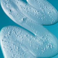 Alta Moda Hidra Save Shampoo