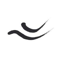 Delineador Líquido à Prova D'água Essence - 5