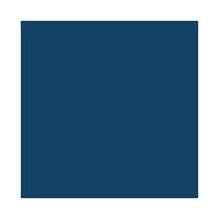 Esmalte Cremoso Tons Escuros - Dailus - 2