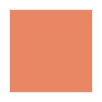 Blush Compacto Vizzela Beauty Blush - 2