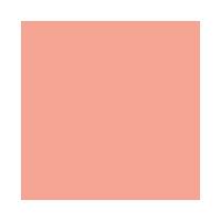 Blush Compacto Vizzela Beauty Blush - 2