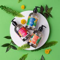 Sabonete Líquido Farmax Flor do Campo - 9