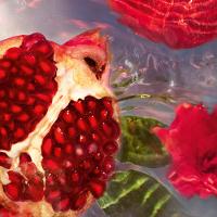 Refil Aqua Allegoria Granada Salvia Guerlain – Perfume Feminino – Eau de Toilette - 2