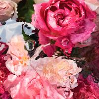 Aqua Allegoria Rosa Rossa Guerlain – Perfume Feminino – Eau de Toilette - 3