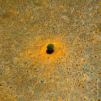 Refil Aqua Allegoria Mandarine Basilic Guerlain – Perfume Feminino – Eau de Toilette - 5