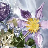 Aqua Allegoria Flora Salvaggia Guerlain – Perfume Feminino – Eau de Toilette - 2