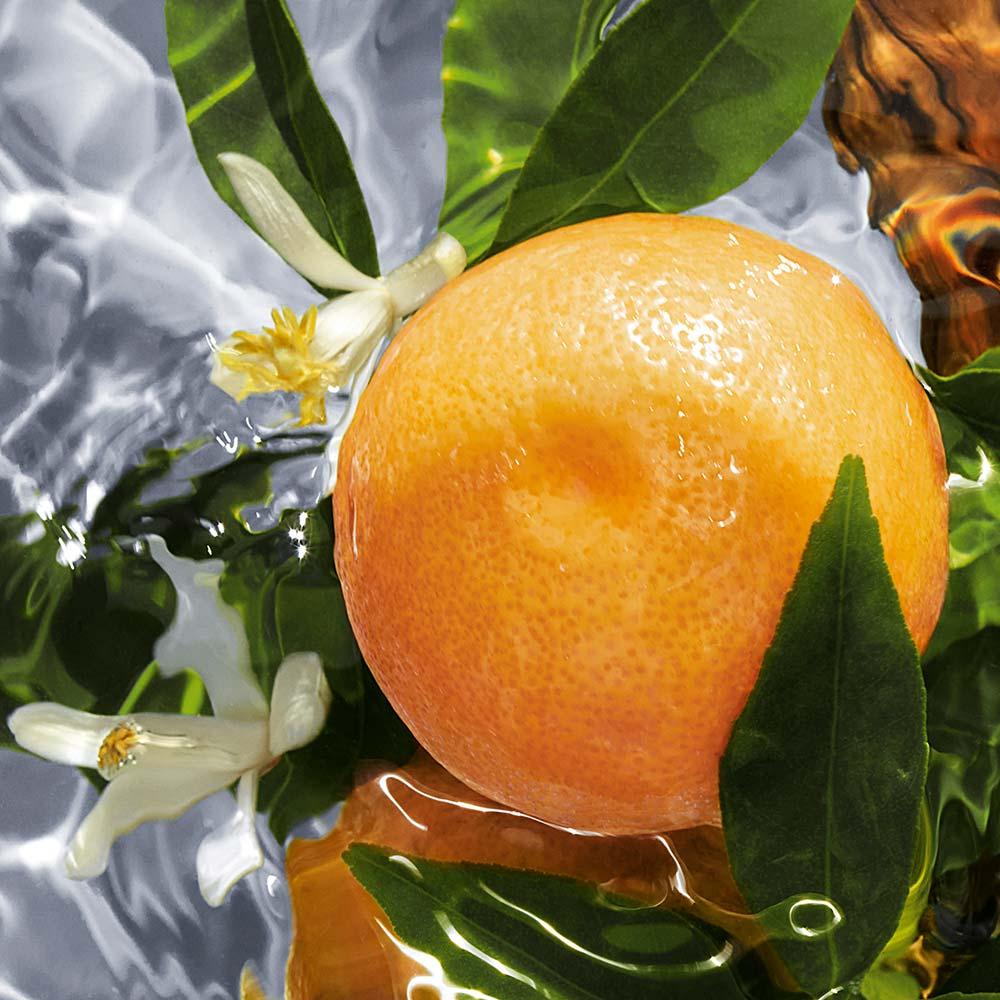 Aqua Allegoria Pamplelune Guerlain – Perfume Feminino – Eau de Toilette - 2