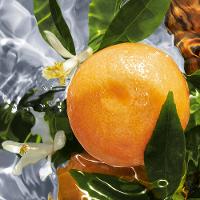 Aqua Allegoria Pamplelune Guerlain – Perfume Feminino – Eau de Toilette - 2