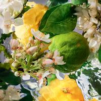 Refil Aqua Allegoria Bergamote Calabria Guerlain – Perfume Feminino – Eau de Toilette - 2