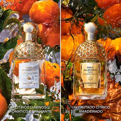 Aqua Allegoria Forte Mandarine Basilic Guerlain Refil - Perfume Feminino - Eau de Parfum