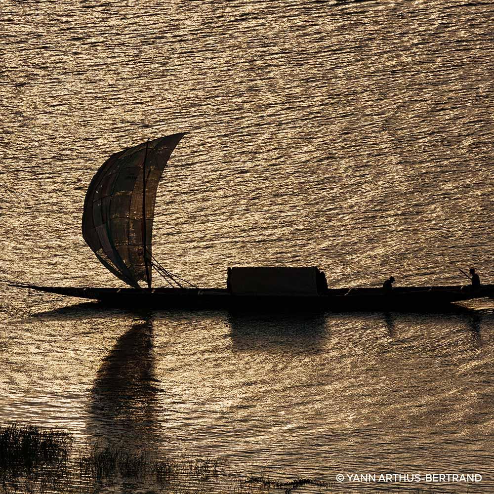 Aqua Allegoria Patchouli Ardent Guerlain Perfume Unissex Eau de Parfum - 5