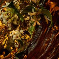 Aqua Allegoria Cuir Intense Guerlain Perfume Unissex Eau de Parfum - 3