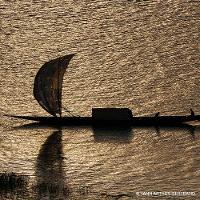 Aqua Allegoria Cuir Intense Guerlain Perfume Unissex Eau de Parfum - 5