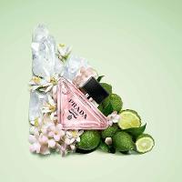 Perfume Prada Paradoxe Virtual Flower Feminino Eau de Parfum - 3