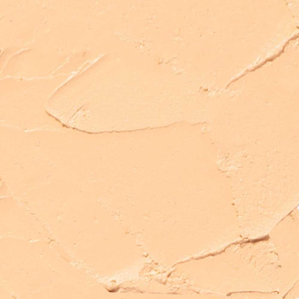 Protetor Solar Bastão Sallve Antimanchas com Cor Fps 90 - 2