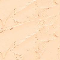 Protetor Solar Bastão Sallve Antimanchas com Cor Fps 90