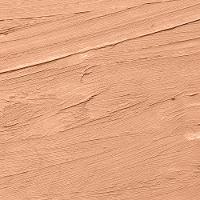 Protetor Solar Stick com Cor Sunless FPS50 - 2