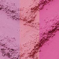 Blush em Pó Solto Catrice Disney Pixar Procurando Dory - 2