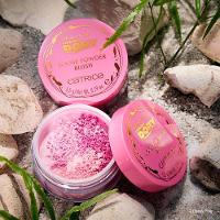 Blush em Pó Solto Catrice Disney Pixar Procurando Dory - 6