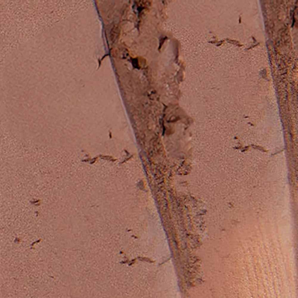 Protetor Solar Facial em Bastão Com Cor Ollie FPS 95 - 2