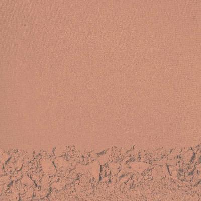 Protetor Solar Facial Compacto Refil Shiseido Uv Protective FPS 30