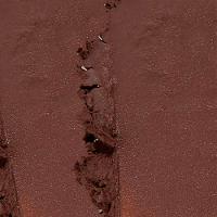 Protetor Solar Facial em Bastão Com Cor Ollie FPS 95 - 2