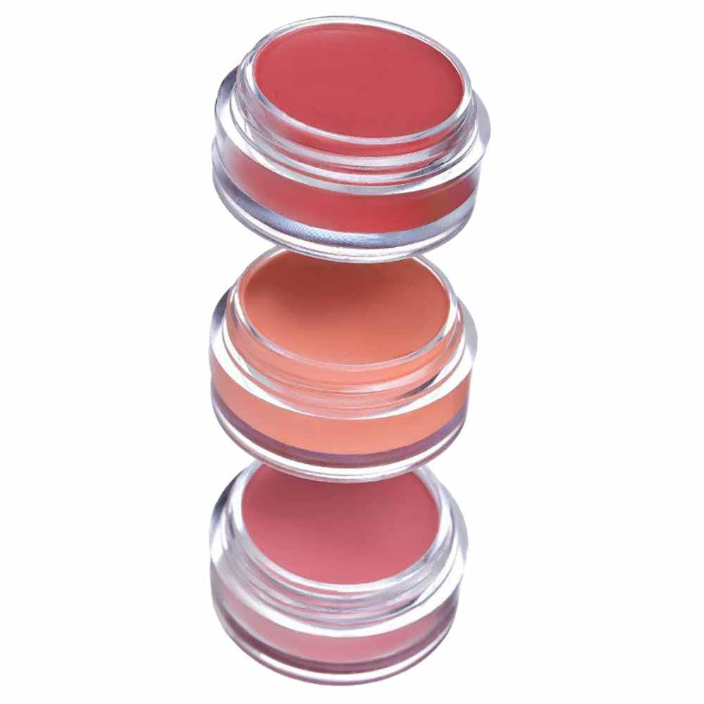 Lip Cheek Multifuncional Simple Organic 4g - 3