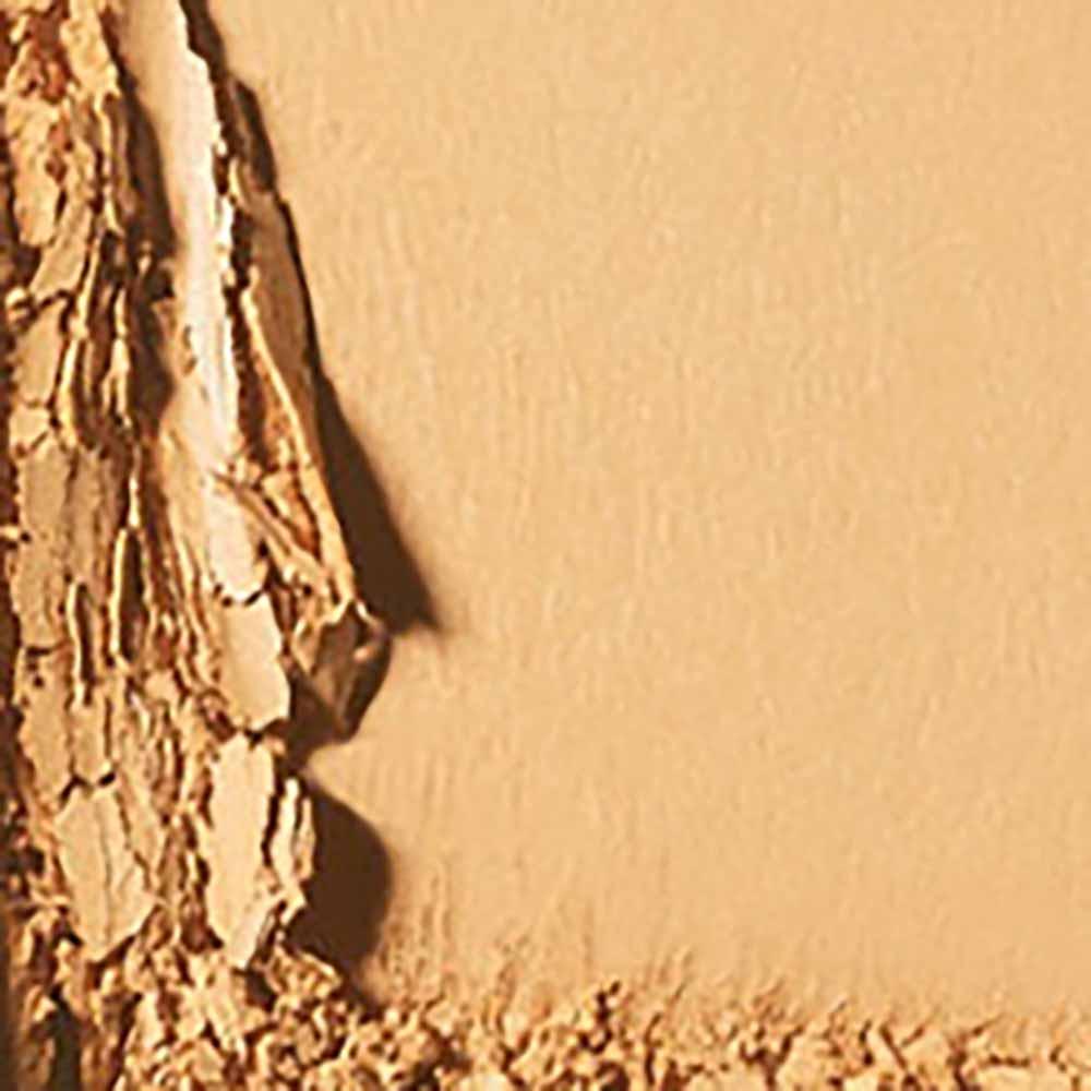 Base em Pó MAC Studio Fix Powder Plus 12g - 2