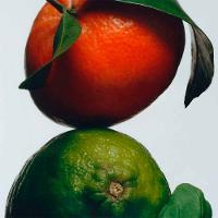 Creme Hidratante Corporal Jo Malone London Lime Basil & Mandarin - 3