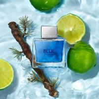 Blue Seduction For Men Banderas - Perfume Masculino - Eau de Toilette