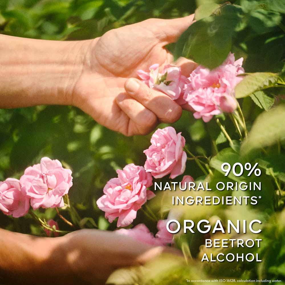 Perfume La Petite Noire Guerlain Feminino Eau de Toilette - 5