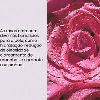 Espuma de Limpeza Facial Profunda Koasis Make-up Removedor Rose - 3