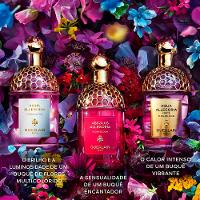 Perfume Absolus Allegoria Florabloom Guerlain Feminino Eau de Parfum