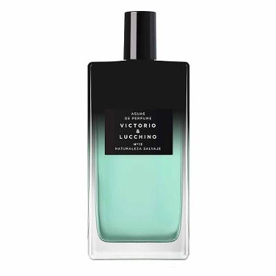 Perfume Aguas Intensas Nº13 Victorio & Lucchino Masculino Eau de Parfum