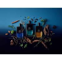 Perfume Aguas Intensas Nº13 Victorio & Lucchino Masculino Eau de Parfum - 3