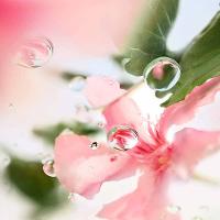 Perfume Ôver The Top Lancôme Feminino Eau de Toilette - 2