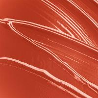 Lip Oil Hidratante Bauny 6g - 2