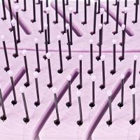 Escova De Cabelo Wetbrush Go Green Biodegradavel